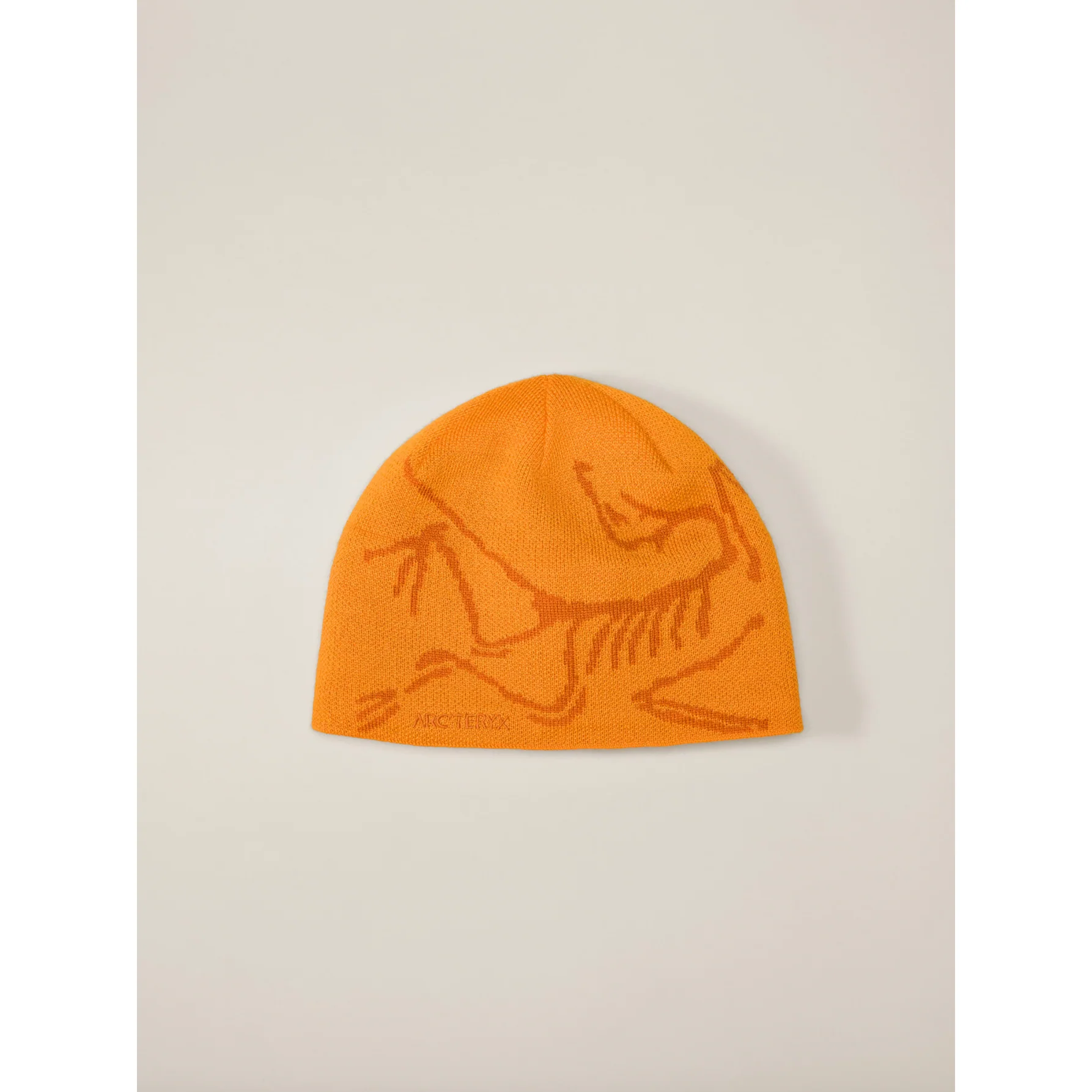 Arc'teryx Bird Head Toque - Image 50