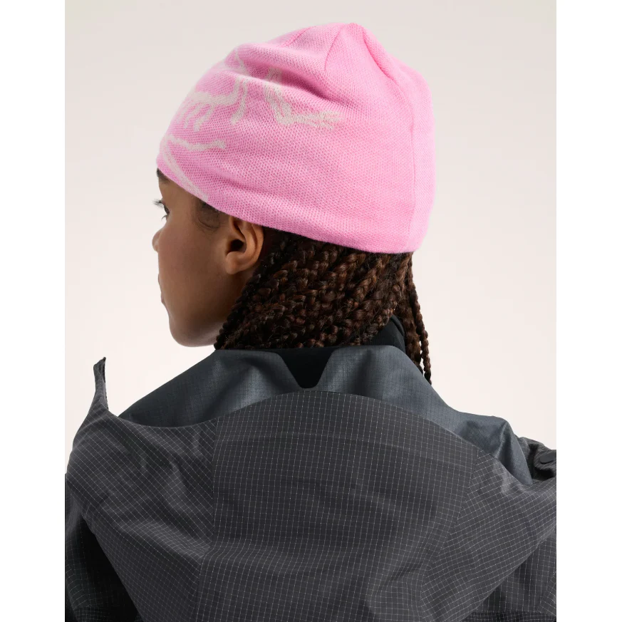 Arc'teryx Bird Head Toque - Image 82