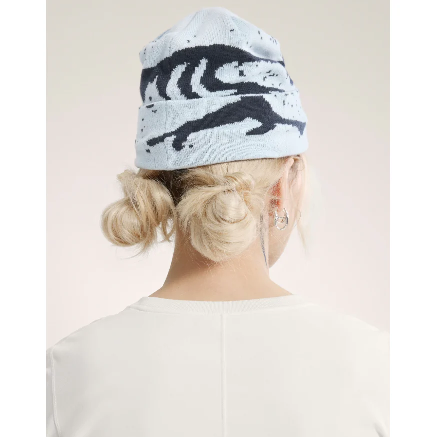 Arc'teryx Grotto Toque - Image 37