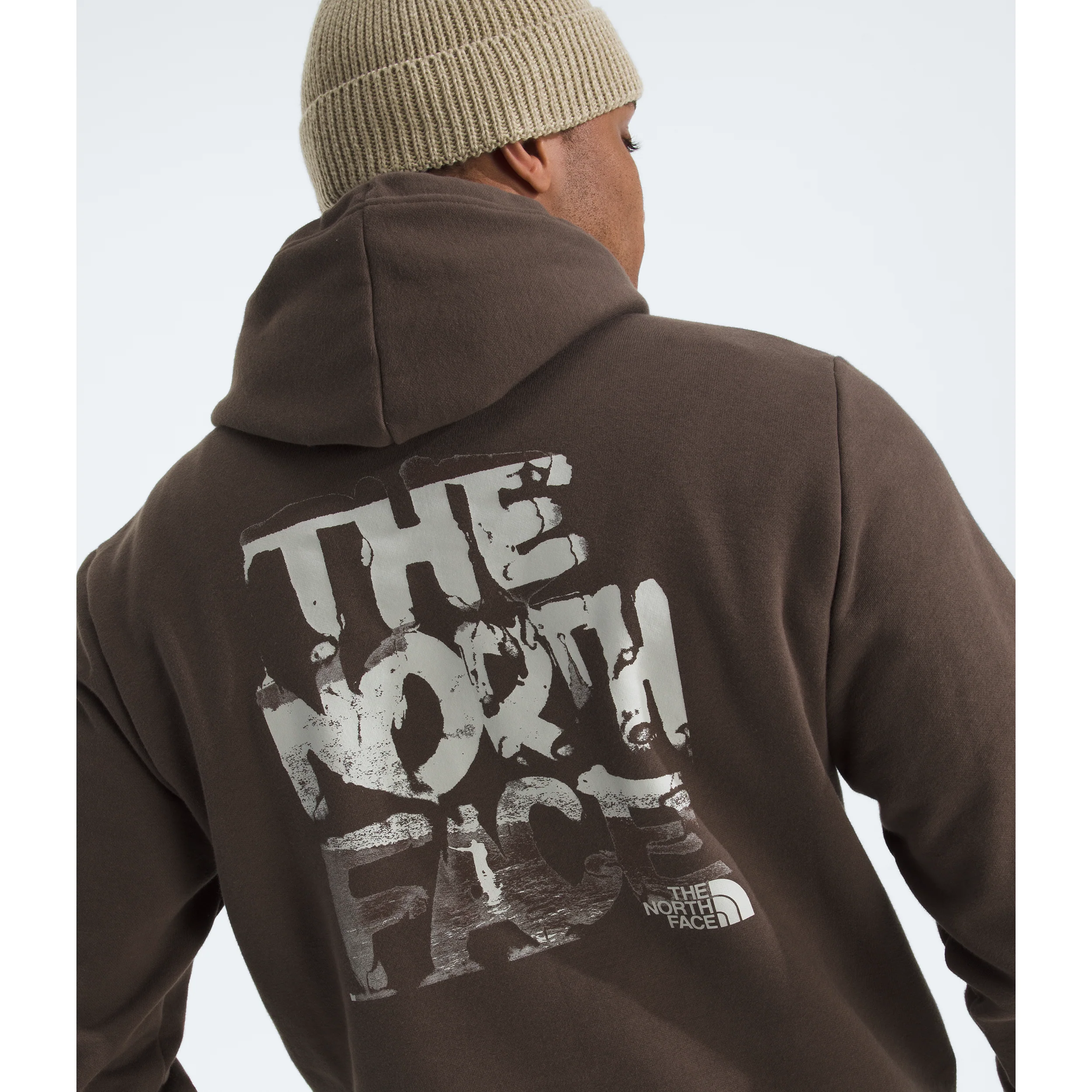 The North Face Men's Evolution Nature Exposure Hoodie - Graphic - Image 7