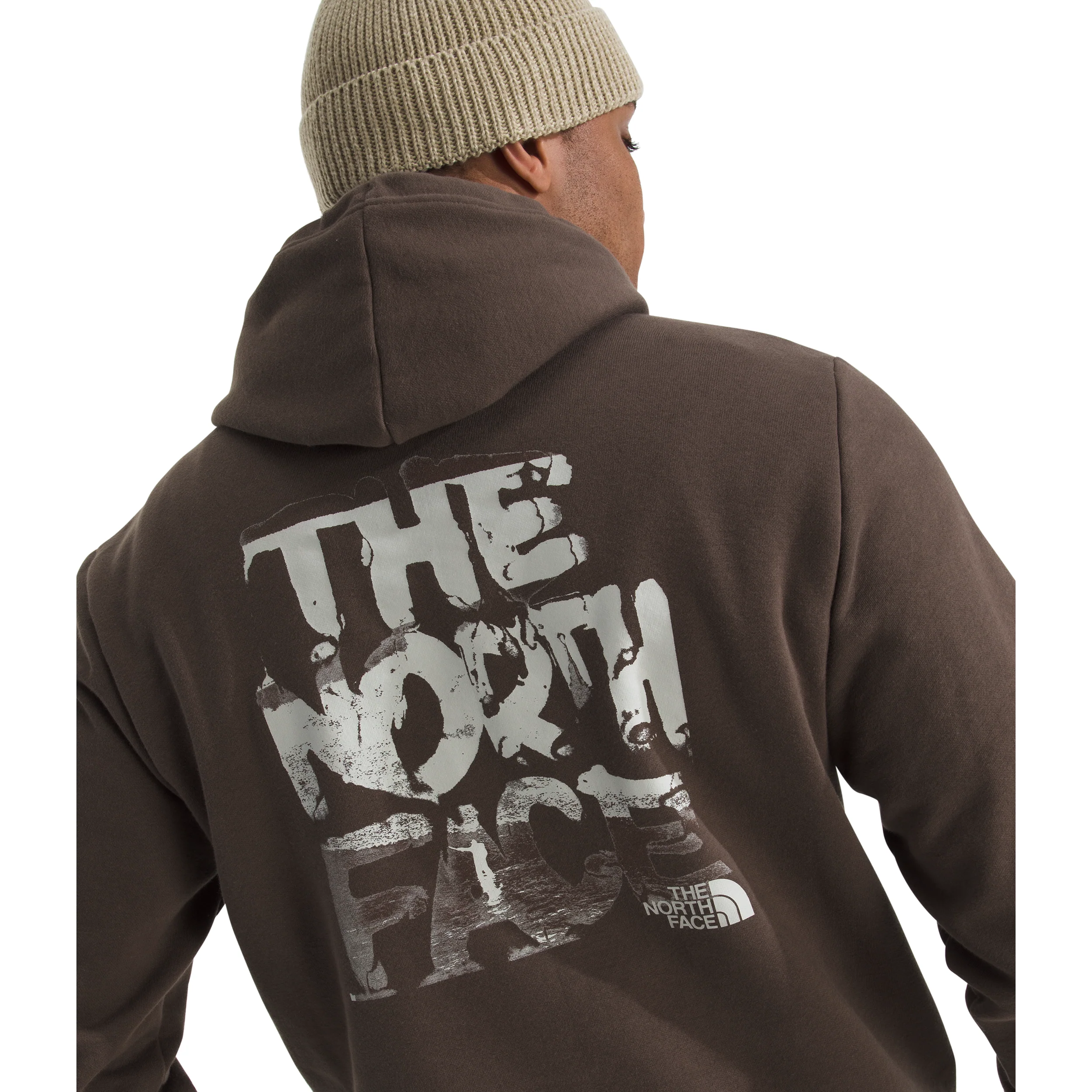 The North Face Men's Evolution Nature Exposure Hoodie - Graphic - Image 9