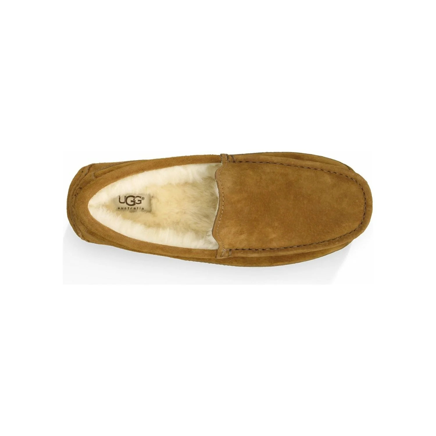 UGG Men's Ascot Slipper in Chestnut - Image 5